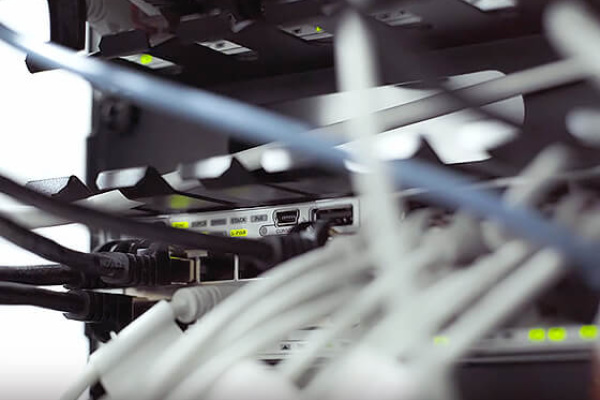 Cables conectados a un switch de red empresarial, garantizando conectividad y seguridad de datos.